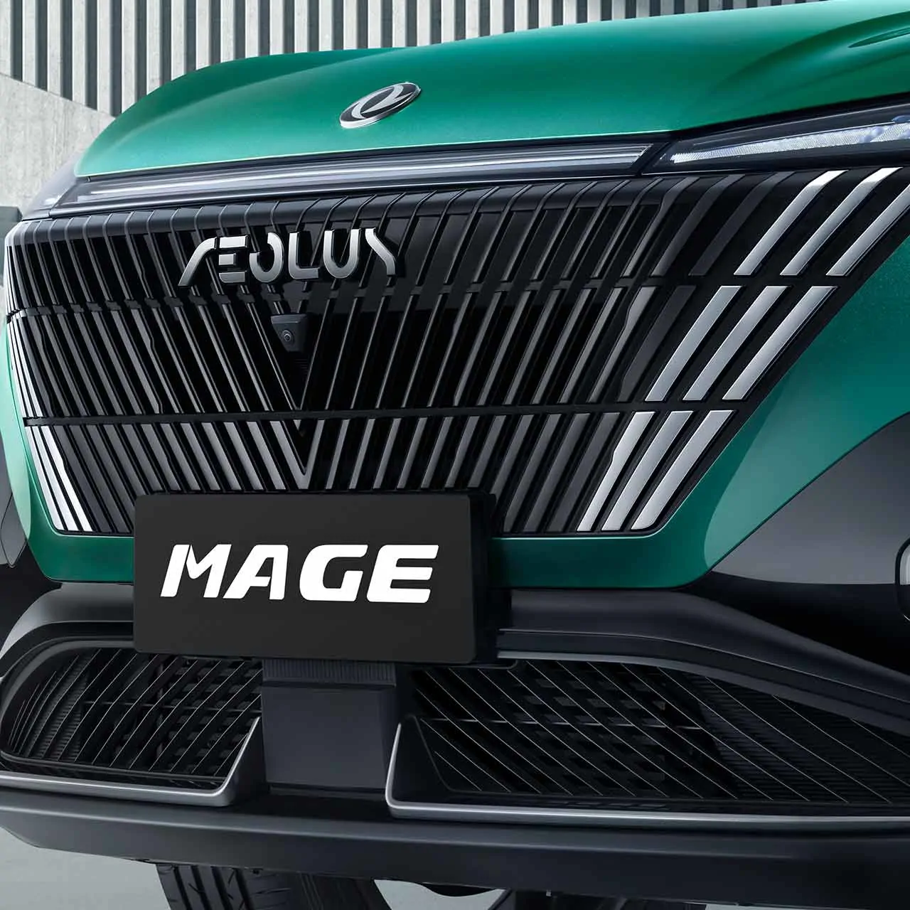 mage Parrilla “Star Track”